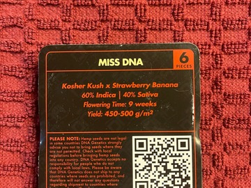 Vente: MISS DNA ( DNA GENETICS)