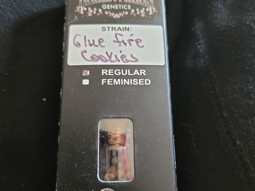 Sell: Glue Fire Cookies