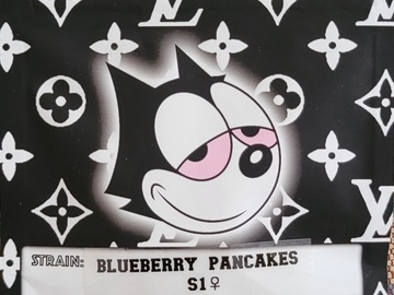 Sell: BlueBerry Pancakes S1 Copycat Genetix ORIGINAL FEMS