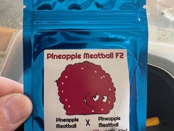 Sell: Terp Fiend - Pineapple Meatball F2