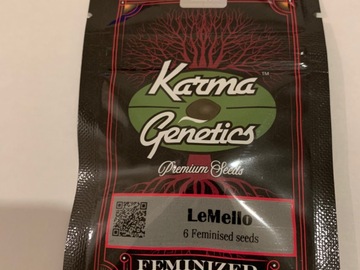 Sell: Karma Genetics LeMello feminised 6 seed pack