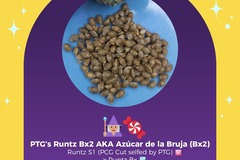 Sell: PTG Photo Line - Runtz BX2 aka Azúcar de la Bruja