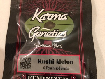 Sell: Karma Genetics Kushi Melon feminised6 pack