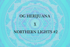 Sell: Herijuana x Northern Lights #2