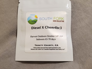 Vente: South Fork Seeds - Sour Diesel x Chem4BC3