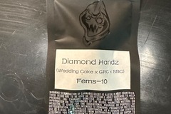 Sell: Square One 1 Genetics - Diamond Handz