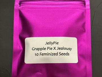 Sell: Crip Crop Farms Genetics - Jelly Pie ( Grapple Pie x Jealousy )