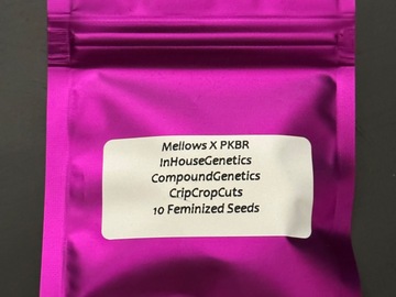 Sell: Crip Crop Farms Genetics - Mellow Breath (Mellowz x PKBR)