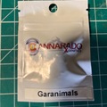 Vente: Garanimals-Cannarado Genetics