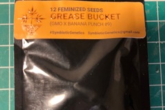 Vente: Grease Bucket-Symbiotic Genetics