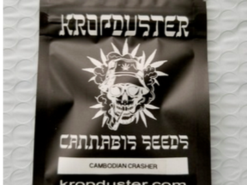 Sell: Cambodian Crasher - 10 seeds SALE!