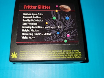 Sell: Fritter glitter fems (exotic genetics)