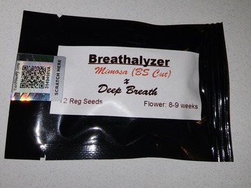 Sell: Breathalyzer (bulletproof genetics)