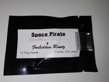 Sell: Space pirate (tiki madman / bulletproof colab