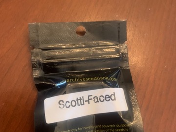 Sell: Scotti faced