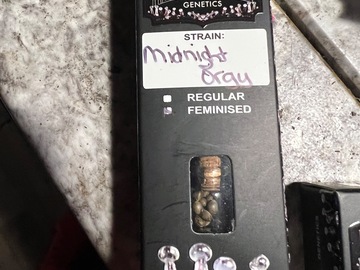 Sell: Midnight orgy