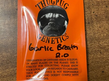 Sell: Thug Pug Genetics- Garlic Breath 2.0