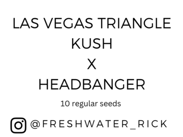 Sell: Las Vegas Triangle Kush x Headbanger - 10 Regs