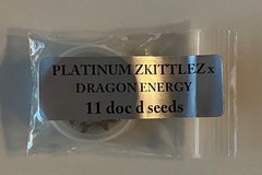 Vente: Doc D / Magic Spirit Seed Co - Platinum Zkittlez x Dragon Energy