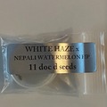 Venta: Doc D - White Haze x Nepali Watermelon Hash Plant