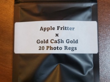Sell: Apple Fritter x Gold Ca$h Gold - 20 Photo Regs
