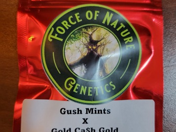 Sell: Gush Mints x Gold Ca$h Gold - 20 Photo Regs