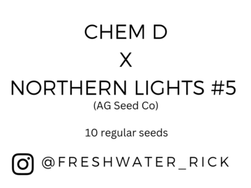 Sell: Chem D x Northern Lights #5 - 10 regs