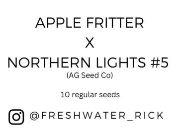 Sell: Apple Fritter x Northern Lights #5