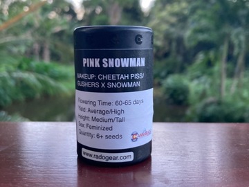 Sell: Pink Snowman from Cannarado