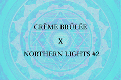 Vente: Crème Brûlée (Breeder Cut) x Northern Lights #2