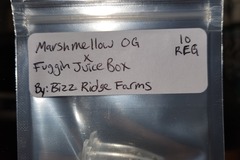 Venta: Marshmallow OG X Fuggin Juice Box 10 reg seeds