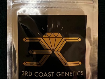 Vente: 3rd Coast Genetics: Pure Michigan F2