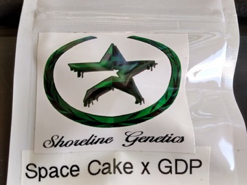 Sell: Space Cake x GDP