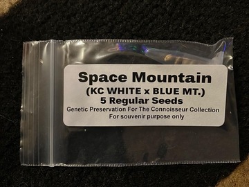 Sell: Kc white x Blue mountain 5 seeds regs