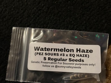 Sell: Pez sours x Tom hill haze x old timers haze 5 seeds regs