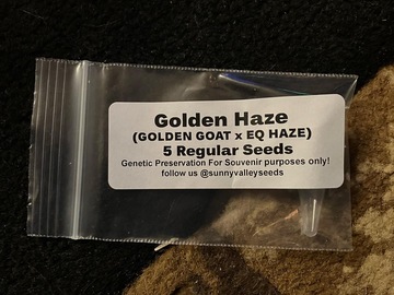 Sell: Golden goat x old timer haze x Tom hill haze 5 seeds regs