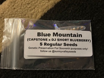 Sell: Capstone x dj short blueberry 5 seeds regs