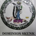 Vente: Dominion Skunk
