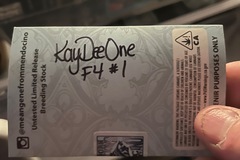 Vente: Freeborn Selections-KaydeeOne F4