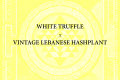 Vente: White Truffle X Vintage Lebanese Hashplant