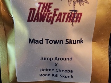 Vente: The DawgFather MadTown Skunk