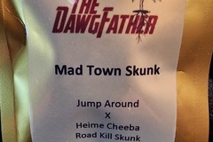 Venta: The DawgFather MadTown Skunk