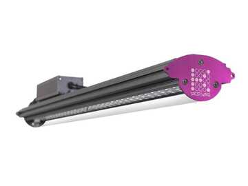 Venta: Kind LED X-Series X40 Bar Light