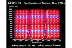 Sell: Apache Tech - Red and Blue LEDs - AT120RB