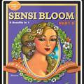 Vente: Advanced Nutrients - Sensi Bloom B - pH Perfect