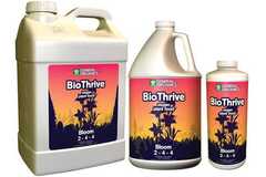 Vente: Bio Thrive Bloom 2-4-4