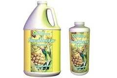 Vente: FloraNectar - Pineapple Rush 0-0-1