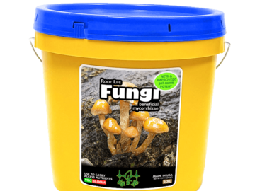 Sell: Key To Life - Root Life Fungi
