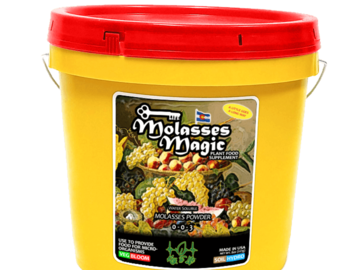 Sell: Key To Life - Molasses Magic 0-0-3