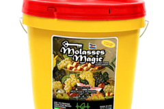 Key To Life - Molasses Magic 0-0-3